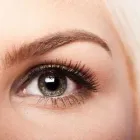 Yrityksen 2 kuva AI-AI FYSIKAALINEN HOITOLAITOS OY Fysioterapia  Tampere 11