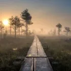 Yrityksen 2 kuva ARFFMAN Suhdetoiminta ja viestintä  Kajaani 05