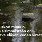 Yrityksen 3 kuva AVAINMEDIA LÄHETYSJÄRJESTÖ RY Muualla luokittelemattomat muut järjestöt  Kerava 18