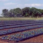 Yrityksen 2 kuva BIOBAG FINLAND OY Viemäri- ja jätevesihuolto  Vantaa 18