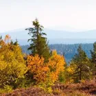 Yrityksen 2 kuva BOOGIE SOFTWARE OY  Oulu 14