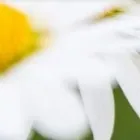 Yrityksen 1 kuva BRÄNDÖ APOTEK - PALOSAAREN APTEEKKI  Vaasa 12