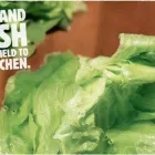 Yrityksen 1 kuva BURGER KING HELSINKI, MALMI  Helsinki 18