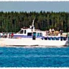 Yrityksen 2 kuva CHRIS-LINE OY Sisävesiliikenteen henkilökuljetus  Imatra 02