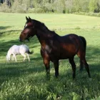 Yrityksen 1 kuva CYPIS OY Vapaa-ajan ja urheiluvälineiden vuokraus ja leasing  Espoo 18