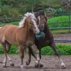 Yrityksen 2 kuva CYPIS OY Vapaa-ajan ja urheiluvälineiden vuokraus ja leasing  Espoo 18