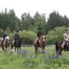 Yrityksen 3 kuva CYPIS OY Vapaa-ajan ja urheiluvälineiden vuokraus ja leasing  Espoo 18