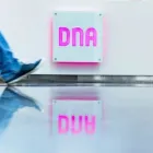 Yrityksen 2 kuva DNA OYJ  Oulu 14