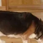 Yrityksen 2 kuva DRYTEC OY AB Vesirakentaminen  Vaasa 12