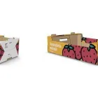 Yrityksen 7 kuva DS SMITH, TAMPERE Puupakkausten valmistus  Tampere 11