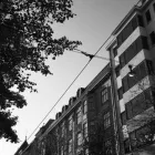 Yrityksen 1 kuva EDITOR HELSINKI OY Muu mainospalvelu  Helsinki 18