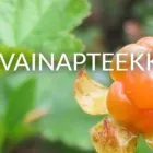 Yrityksen 2 kuva EURAN APTEEKKI Apteekit  Eura 17