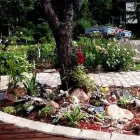 Yrityksen 2 kuva EVEGA TMI Muualla luokittelemattomat henkilökohtaiset palvelut  Imatra 02