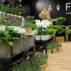 Yrityksen 2 kuva FLÖR KUKKA & PUUTARHA MYLLY  Raisio 19