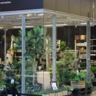 Yrityksen 4 kuva FLÖR KUKKA & PUUTARHA MYLLY  Raisio 19