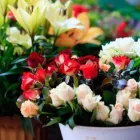 Yrityksen 3 kuva FLOWERHOUSE ESPOO OY  Espoo 18