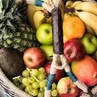 Yrityksen 5 kuva FRUITKIT OY  Helsinki 18