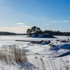 Yrityksen 2 kuva GRAFTER  Vantaa 18