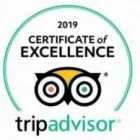 Yrityksen 1 kuva GREEN CAP TOURS HELSINKI  Helsinki 18