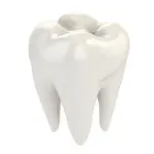 Yrityksen 3 kuva HAMMASLÄÄKÄRI EIJA JUTILA Hammaslääkäripalvelut  Kalajoki 14