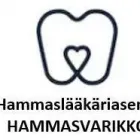 Yrityksen 1 kuva HAMMASVARIKKO RUOVESI  Ruovesi 11