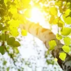 Yrityksen 2 kuva HARJAVALLAN KAUPUNKI VANHAINKOTI HOPEARANTA  Harjavalta 17