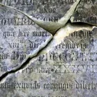 Yrityksen 3 kuva HAUTAUSTOIMISTO MATTSSON OY Hautaustoimistojen palvelut  Kokkola 07