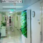 Yrityksen 4 kuva HELSINGIN ANTIOKSIDANTTIKLINIKKA Lääkäriasemat, yksityislääkärit ja vastaavat erikoislääkäripalvelut  Helsinki 18