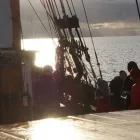 Yrityksen 10 kuva HELSINGIN PURJELAIVAKONTTORI Sisävesiliikenteen henkilökuljetus  Helsinki 18