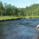 Yrityksen 2 kuva HIPPUKULTA OY  Kerava 18