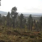 Yrityksen 4 kuva HOITO- JA KOULUTUSPALVELUT TÄHTIEN POLKU Muu terveyspalvelu  Mikkeli 04