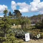 Yrityksen 5 kuva HONKASEN PUUTARHA OY KANGASALA Puutarha-alan vähittäiskauppa  Kangasala 11