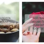 Yrityksen 4 kuva ILONA GROUP OY  Helsinki 18