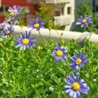 Yrityksen 4 kuva ISÄNNÖINTIPALVELU ISARVO OY HELSINKI  Helsinki 18