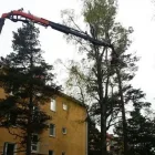 Yrityksen 1 kuva J. TUOMI KY Tieliikenteen tavarankuljetus  Helsinki 18
