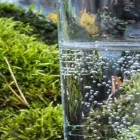 Yrityksen 4 kuva JALOVESI OY Lämpö-, vesi- ja ilmastointilaitteiden ja -tarvikkeiden tukkukauppa  Mikkeli 04