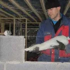 Yrityksen 1 kuva JK SMART METAL OY Kone- ja prosessisuunnittelu  Rautio 14