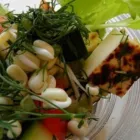 Yrityksen 2 kuva KÄÄNNÄN ITU JA ELO OY Vihannesten viljely kasvihuoneessa  Tynkä 14