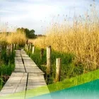 Yrityksen 1 kuva KAARINAN KAUPUNKI Julkinen yleishallinto  Kaarina 19