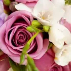 Yrityksen 2 kuva KALAJOEN KUKKATALO JA HAUTAUSTOIMISTO Hautaustoimistojen palvelut  Kalajoki 14