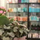 Yrityksen 1 kuva KAMPAAMO HAIR COMPANY ANNA & MIO Parturit ja kampaamot  Vaasa