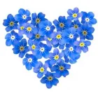 Yrityksen 2 kuva KARELIA-KOTI Muu terveyspalvelu  Kokkola 07