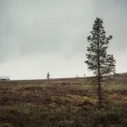 Yrityksen 2 kuva KAUKOKIITO EURA  Eura 17