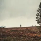 Yrityksen 6 kuva KAUKOKIITO RAHOLA Työnvälitystoiminta  Tampere 11