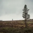 Yrityksen 2 kuva KAUKOKIITO SASTAMALA Tieliikenteen terminaalitoiminta  Sastamala 11