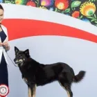 Yrityksen 1 kuva KENNEL MINTLINE'S  Peipohja 17