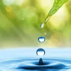 Yrityksen 2 kuva KIINTEISTÖPALVELU CLEANCAT Kiinteistönhoito  Pirkkala 11