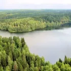 Yrityksen 1 kuva KIRSIKKAONNI OY  Kiikoinen 17