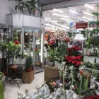 Yrityksen 7 kuva KOIVUHAAN KUKKAKAUPPA OY Kukkien vähittäiskauppa  Vantaa 18
