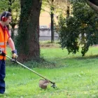 Yrityksen 2 kuva KOTKAN SEUDUN KIINTEISTÖHUOLTO  Kotka 09